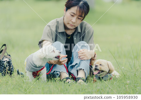 woman playing with her dog woman playing with her dog 105958930