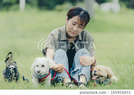 woman playing with her dog 105958931