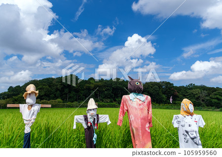 Scarecrow and clouds 105959560