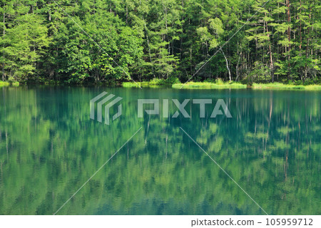 Deep green shooting pond 105959712