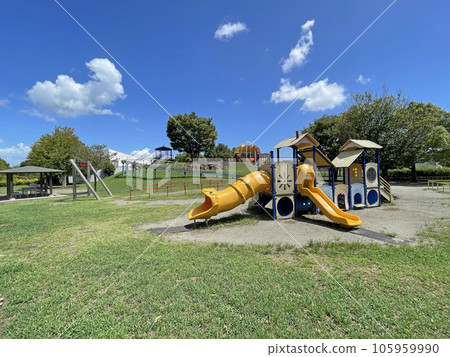 One Park, Hadano City, Kanagawa Prefecture, a park with big trees under the blue sky 105959990