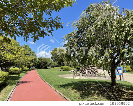 One Park, Hadano City, Kanagawa Prefecture, a park with big trees under the blue sky 105959992