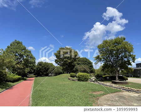 神奈川縣秦野市One Park，藍天下大樹的公園 105959993