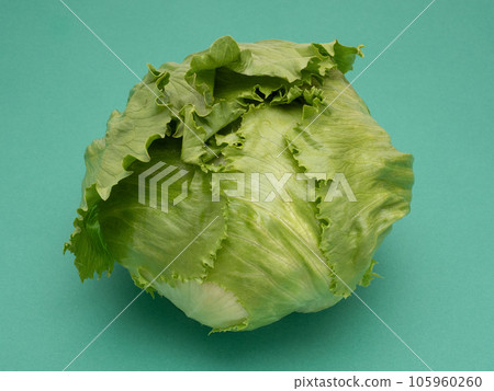 lettuce lettuce 105960260