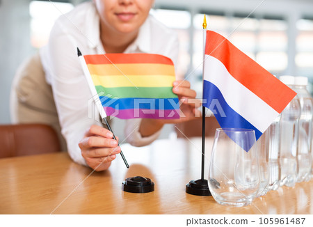 Blurry girl set midget flags of Netherlands and LGBT before international negotiations Blurry girl set midget flags of Netherlands and LGBT before international negotiations 105961487