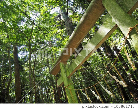 鹿島神宮被認為是關東地區最古老的神社 105961713