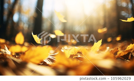 秋葉和落黃葉在風中翩翩起舞的風景 AI 生成的圖像 105962029