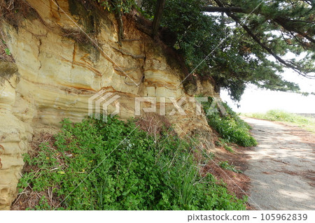 Himakajima地層 Himakajima地層 105962839