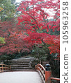 A bridge covered in autumn leaves in Miyajima 105963258