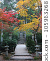 Stone steps wrapped in autumn leaves 105963268
