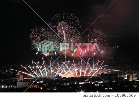 蒲郡湖盛開的星礦 105963509