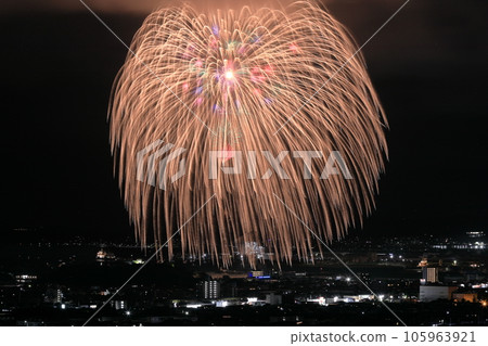 蒲郡夜空盛開的三尺玉 蒲郡夜空盛開的三尺玉 105963921