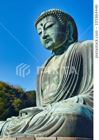 幸德院鎌倉大佛（神奈川縣鎌倉市） 105964446