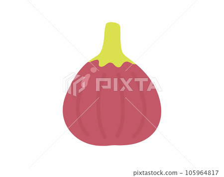 秋天的味道，簡單的無花果插畫素材 105964817