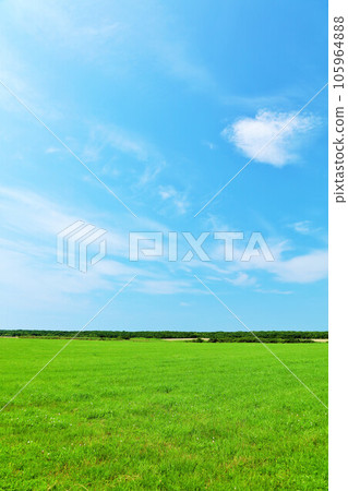 Hokkaido Summer blue sky and grassland scenery in eastern Hokkaido 105964888
