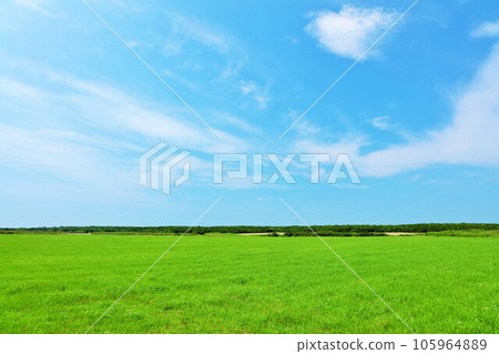 Hokkaido Summer blue sky and grassland scenery in eastern Hokkaido 105964889