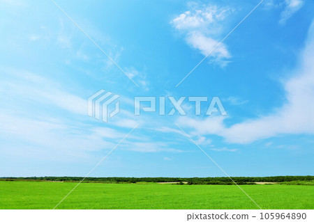 Hokkaido Summer blue sky and grassland scenery in eastern Hokkaido 105964890