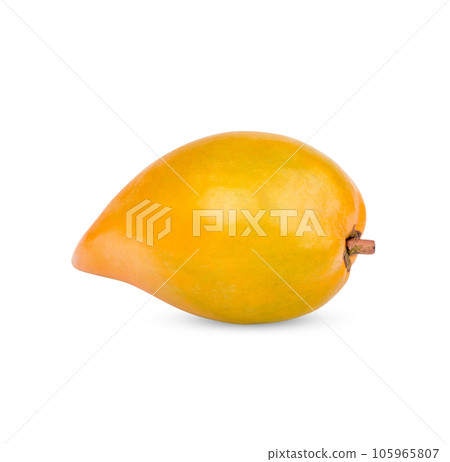 Egg fruit, Canistel, yellow sapote (Pouteria campechiana (Kunth) Baehni) isolated on white background Egg fruit, Canistel, yellow sapote (Pouteria campechiana (Kunth) Baehni) isolated on white background 105965807