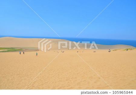 Tottori sand dunes 105965844