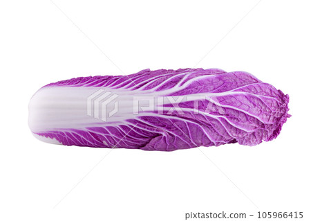 Purple chinese cabbage isolated on a white background. Purple chinese cabbage isolated on a white background. 105966415