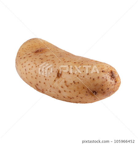 Raw potatoes isolated on white background. 105966452