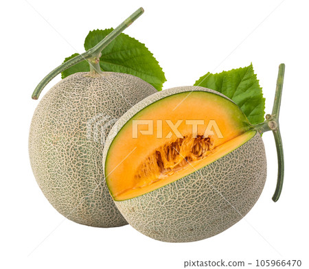 cantaloupe melon isolated on a white background. cantaloupe melon isolated on a white background. 105966470
