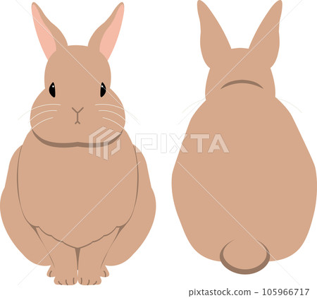 Sitting brown rabbit (front/back set) Sitting brown rabbit (front/back set) 105966717