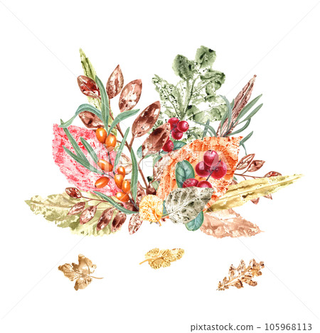 Autumn dry leaves and ripe cranberries. Colorful leaves imprints and red berries. Composition isolated on white background. Watercolor illustration for prints, cards design, texture Autumn dry leaves and ripe cranberries. Colorful leaves imprints and red berries. Composition isolated on white background. Watercolor illustration for prints, cards design, texture 105968113