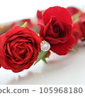 red roses and crystals 105968180