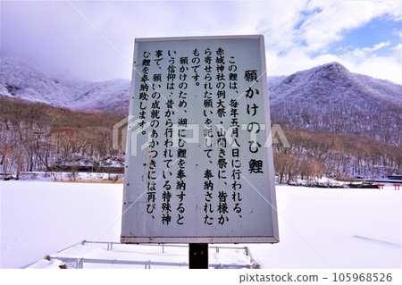 赤城神社, 許願鯉魚, 群馬縣, 赤城山, 大原赤城神社, 拓樸通橋, 冬天 105968526
