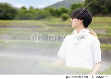 水稻種植農場形象 水稻種植農場形象 105968546