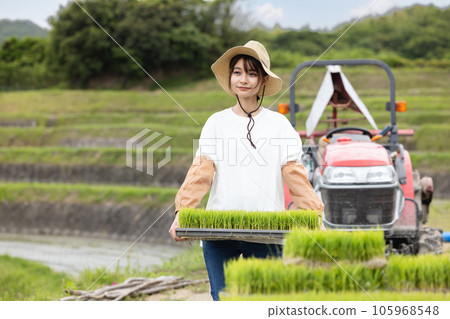 水稻種植農場形象 水稻種植農場形象 105968548