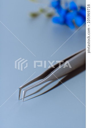 High-quality tweezers with sharp tip, using for fake eyelash extension procedure, lying on table in front of flowers. High-quality tweezers with sharp tip, using for fake eyelash extension procedure, lying on table in front of flowers. 105969716
