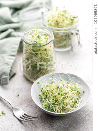 Microgreens grown in a jar. 105969898