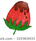 Chocolate coated strawberries 105969935