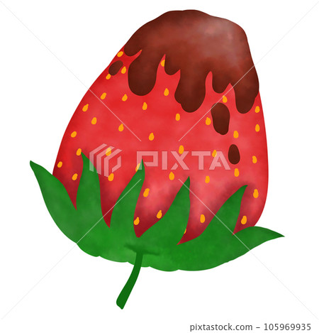 Chocolate coated strawberries 105969935