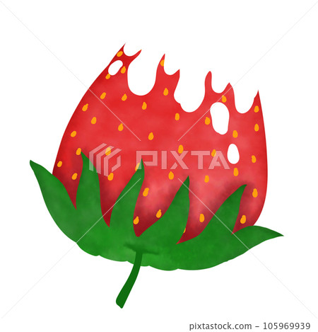 Chocolate coated strawberries 105969939
