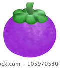 purple mangosteen 105970530
