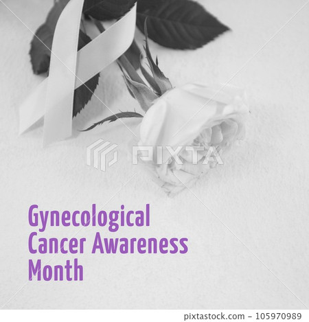 Composite of gynecological cancer awareness month over rose with ribbon on grey background Composite of gynecological cancer awareness month over rose with ribbon on grey background 105970989