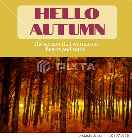Composite of hello autumn text over autumn forest Composite of hello autumn text over autumn forest 105971026