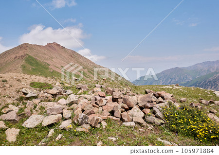 Atmospheric landscape among moraines and green meadow in sunny weather. Awesome mountain scenery with large glacier and great mountain top. Moraine in the highlands of Kazakhstan. 105971884