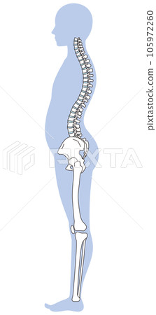腰部曲度 骨盆傾斜 105972260