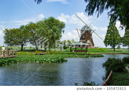 夏天的風景～曙山農業公園 105972913