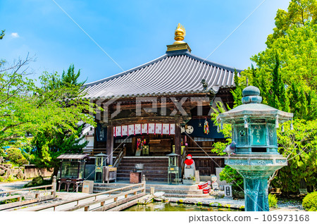 德島靈山寺(第一票地點)~大志堂~ 德島靈山寺(第一票地點)~大志堂~ 105973168