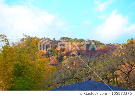 Tateishi Temple Yamadera Autumn Leaves Yellow Leaves Tateishi Temple Yamadera Autumn Leaves Yellow Leaves 105973370