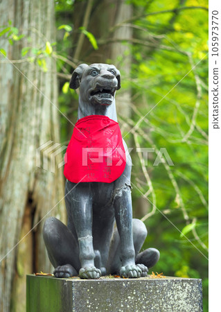 Chichibu City Mitsumine Shrine Divine Dog 105973770