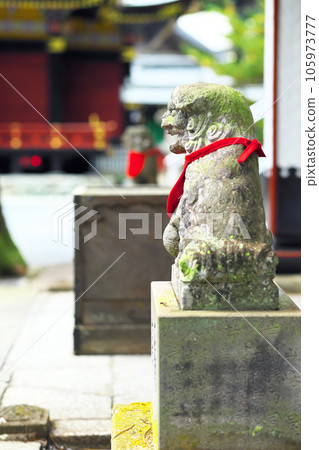 秩父市三峰神社神犬 秩父市三峰神社神犬 105973777