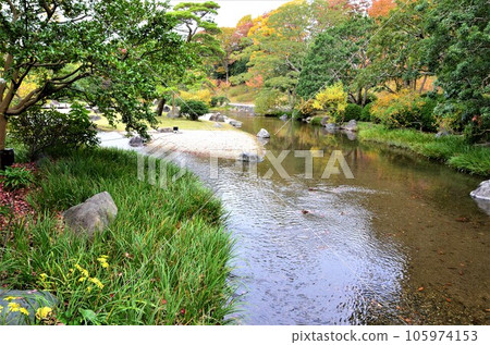 Autumn leaves of Manpuku Memorial Park Natural and Cultural Gardens 105974153