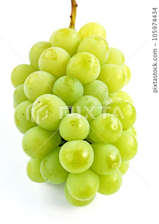 grape (yellow) 105974434