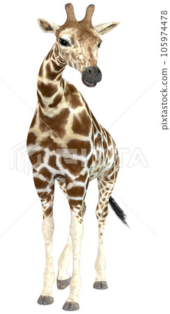 麒麟☆長頸鹿 105974478